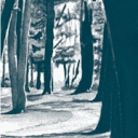 Talbott Berman, PLLC logo