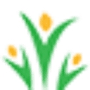 Helotes Family Dentistry logo