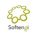 Softengi logo