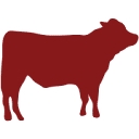 Nebraska Star Beef logo