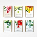 Seattle Seed Company logo