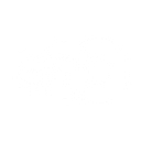 Organizational Physics logo