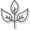 Sonoma Scent Studio logo