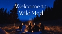 Institute for Wild Medicine logo