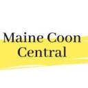 Maine Coon Central logo