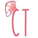 Champagne Tastes logo