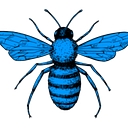 BlueBee Bankruptcy logo
