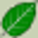 Wilderness College logo