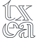 Texas Eye Aesthetics logo