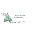 Data Triage logo