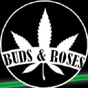 Buds & Roses logo