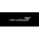 VSI Aerial logo