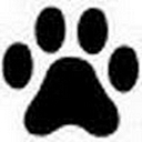 All Pets Considered logo