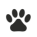 Litchfield Veterinary Hospital logo