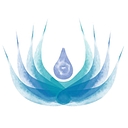 Shanti Toya logo