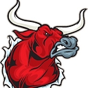 The Bullvine logo