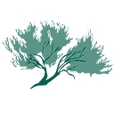 Sage Forensic Accounting logo