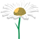 The Lady DIY logo