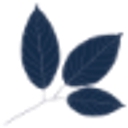 Phyto Paris logo