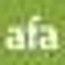 AFA Stores logo