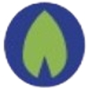 Mangrove Property Insurance Company logo