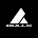 Bulls logo