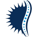 NJ Spine & Orthopedic logo