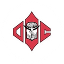 Team Chiropractic & Sports Medicine logo