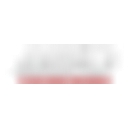 Active Wholesale USA logo