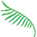 Oasis Fine Linens logo