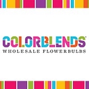 Colorblends logo