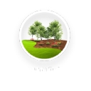 DFW Turfgrass Science logo