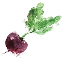 The Foodie Physician logo