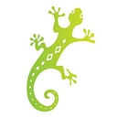 Chameleon Sales Group logo