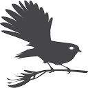 Wild Ferns logo
