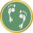 Taylor's Tracks logo