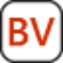 Bitvision, LLC logo