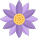 Cheeky Plum logo