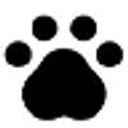 Portage Lakes Veterinary Hospital logo