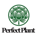 Perfect Plant Market logo