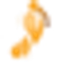 Syracuse Podiatry logo