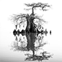 Charles Bush Photography logo