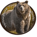 Yellowstone Tour Guides logo