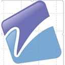 Virtual Project Consulting logo