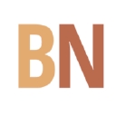 BirthNet New York logo