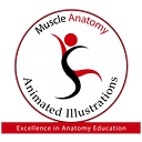 LearnMuscles logo