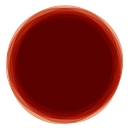True Japan Tours logo