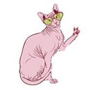 Pawsitive Vibes Cats logo