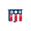 Professional Roofing logo