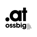 OSSBIG logo